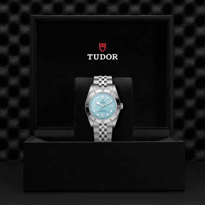 Tudor Black Bay Master Chronometer Blue Dial Men’s Watch - Image 13